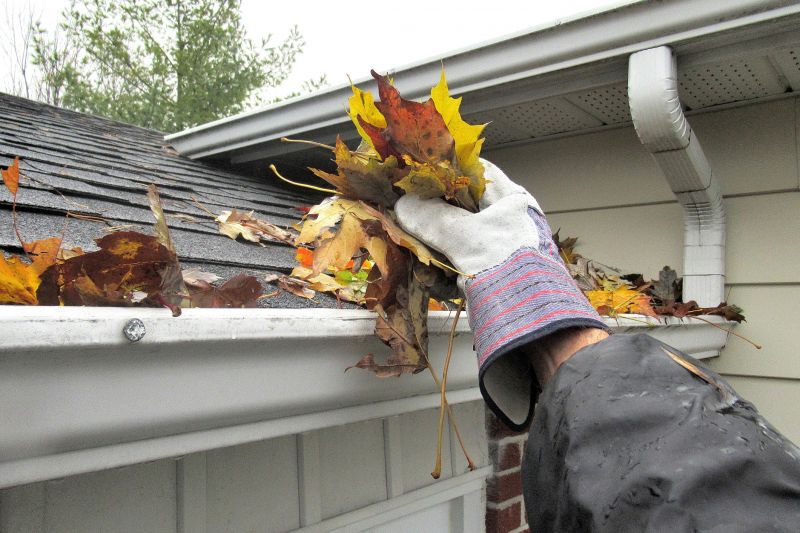 Downspout Cleaning in Rochester, NY