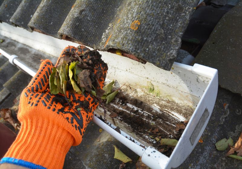Gutter Leaf Clearing in Bergen County, NJ