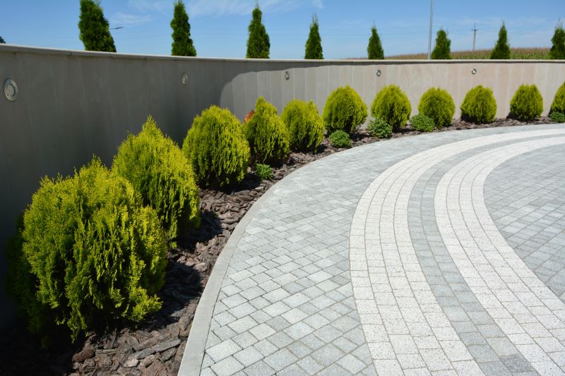 Clean Paver Walkway