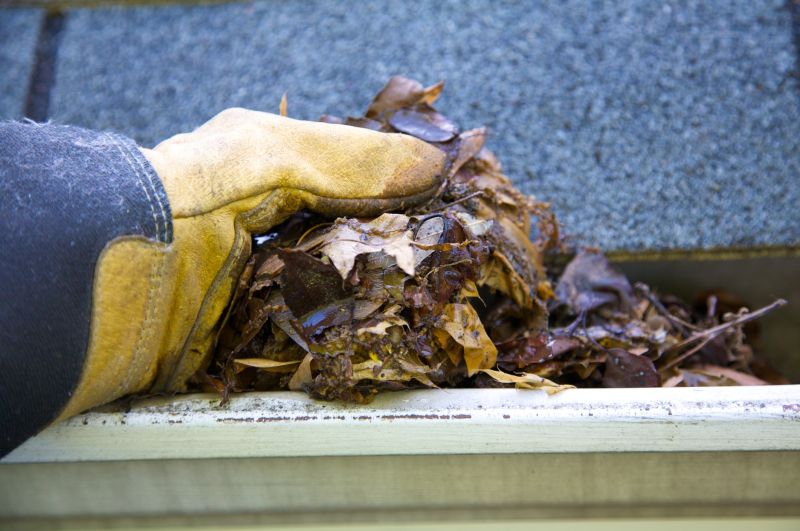 Rain Gutter Clearing in Long Island, NY